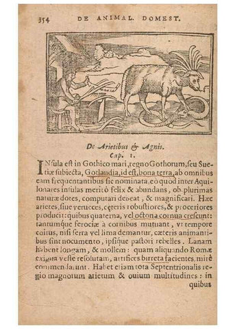 Reproducción/Reproduction 15015529263: Historiae de gentibus septentrionalibus /. Antverpiae :Apud Ioannem Bellerum,[ca. 1557]