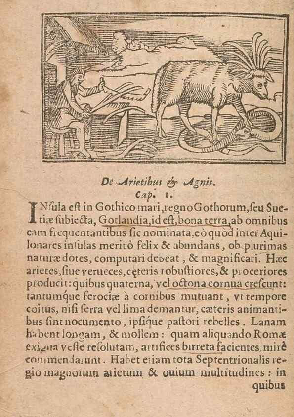 Reproducción/Reproduction 15015529263: Historiae de gentibus septentrionalibus /. Antverpiae :Apud Ioannem Bellerum,[ca. 1557]