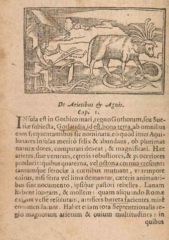 Reproducción/Reproduction 15015529263: Historiae de gentibus septentrionalibus /. Antverpiae :Apud Ioannem Bellerum,[ca. 1557]