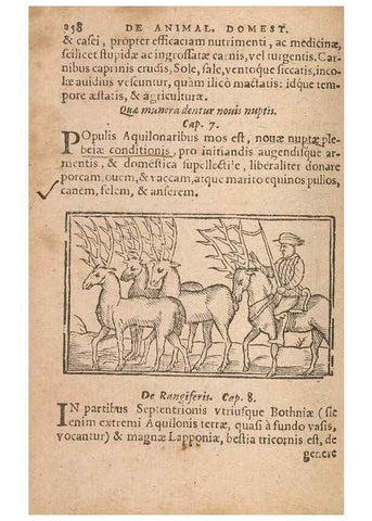Reproducción/Reproduction 15449065189: Historiae de gentibus septentrionalibus /. Antverpiae :Apud Ioannem Bellerum,[ca. 1557]