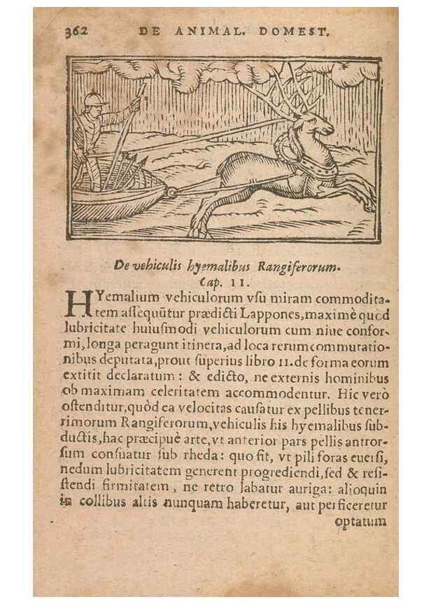 Reproducción/Reproduction 15636552392: Historiae de gentibus septentrionalibus /. Antverpiae :Apud Ioannem Bellerum,[ca. 1557]