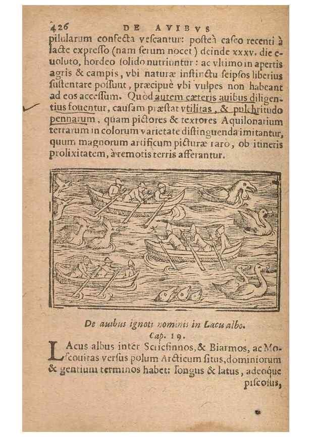 Reproducción/Reproduction 15636721342: Historiae de gentibus septentrionalibus /. Antverpiae :Apud Ioannem Bellerum,[ca. 1557]