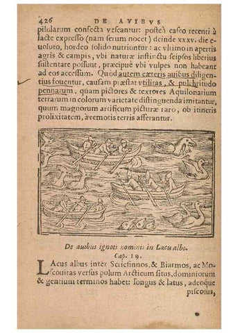 Reproducción/Reproduction 15636721342: Historiae de gentibus septentrionalibus /. Antverpiae :Apud Ioannem Bellerum,[ca. 1557]