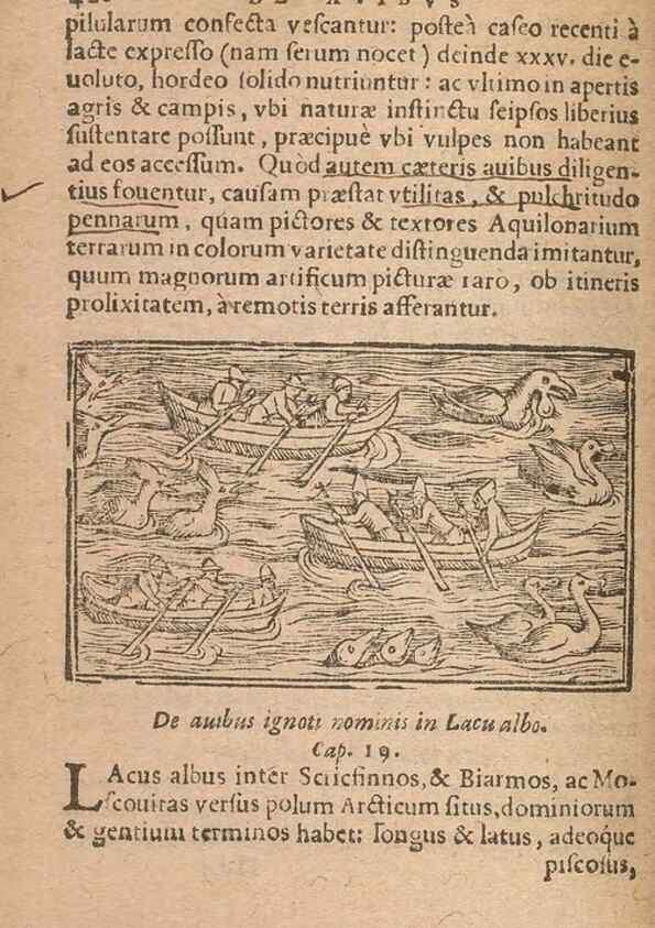 Reproducción/Reproduction 15636721342: Historiae de gentibus septentrionalibus /. Antverpiae :Apud Ioannem Bellerum,[ca. 1557]