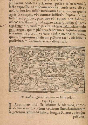 Reproducción/Reproduction 15636721342: Historiae de gentibus septentrionalibus /. Antverpiae :Apud Ioannem Bellerum,[ca. 1557]