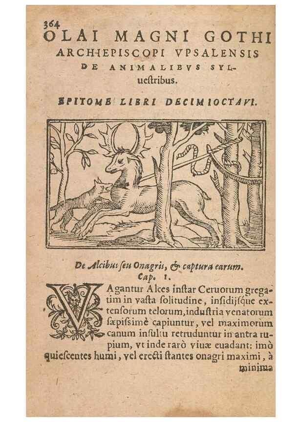 Reproducción/Reproduction 15449732057: Historiae de gentibus septentrionalibus /. Antverpiae :Apud Ioannem Bellerum,[ca. 1557]
