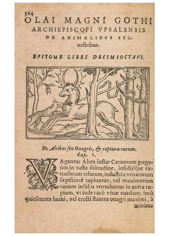 Reproducción/Reproduction 15449732057: Historiae de gentibus septentrionalibus /. Antverpiae :Apud Ioannem Bellerum,[ca. 1557]