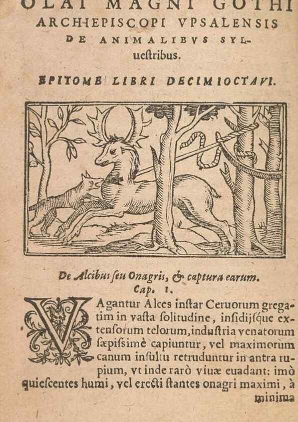 Reproducción/Reproduction 15449732057: Historiae de gentibus septentrionalibus /. Antverpiae :Apud Ioannem Bellerum,[ca. 1557]