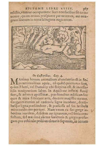 Reproducción/Reproduction 15015560883: Historiae de gentibus septentrionalibus /. Antverpiae :Apud Ioannem Bellerum,[ca. 1557]