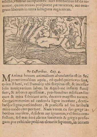 Reproducción/Reproduction 15015560883: Historiae de gentibus septentrionalibus /. Antverpiae :Apud Ioannem Bellerum,[ca. 1557]