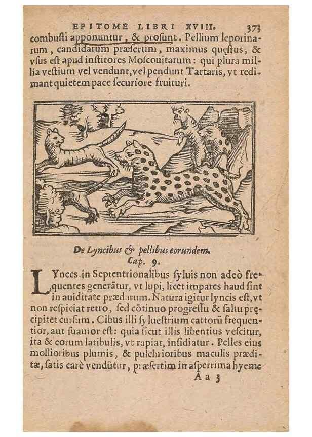 Reproducción/Reproduction 15015004234: Historiae de gentibus septentrionalibus /. Antverpiae :Apud Ioannem Bellerum,[ca. 1557]