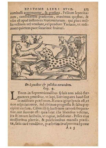Reproducción/Reproduction 15015004234: Historiae de gentibus septentrionalibus /. Antverpiae :Apud Ioannem Bellerum,[ca. 1557]