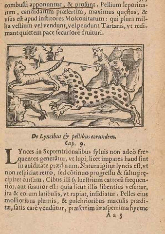 Reproducción/Reproduction 15015004234: Historiae de gentibus septentrionalibus /. Antverpiae :Apud Ioannem Bellerum,[ca. 1557]