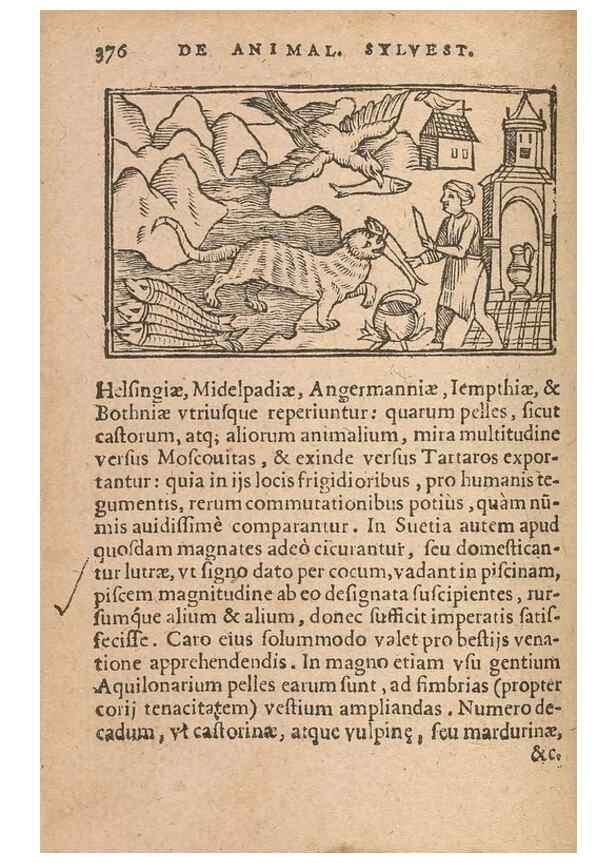 Reproducción/Reproduction 15450179820: Historiae de gentibus septentrionalibus /. Antverpiae :Apud Ioannem Bellerum,[ca. 1557]
