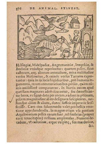 Reproducción/Reproduction 15450179820: Historiae de gentibus septentrionalibus /. Antverpiae :Apud Ioannem Bellerum,[ca. 1557]