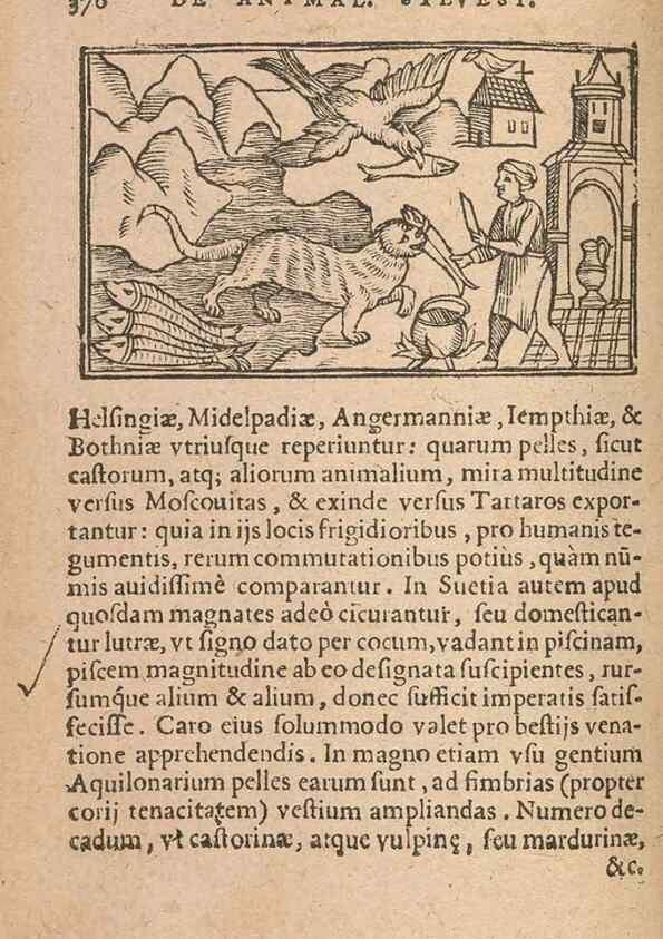 Reproducción/Reproduction 15450179820: Historiae de gentibus septentrionalibus /. Antverpiae :Apud Ioannem Bellerum,[ca. 1557]