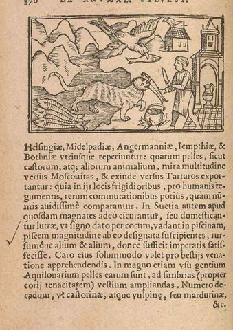 Reproducción/Reproduction 15450179820: Historiae de gentibus septentrionalibus /. Antverpiae :Apud Ioannem Bellerum,[ca. 1557]