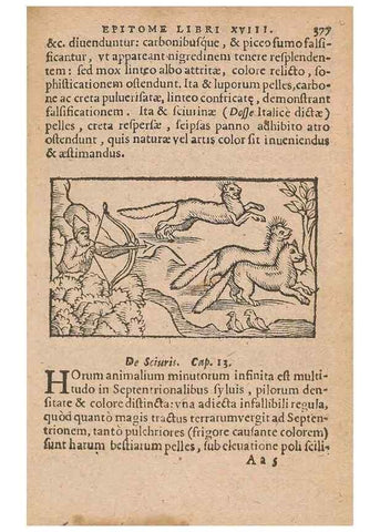 Reproducción/Reproduction 15450185010: Historiae de gentibus septentrionalibus /. Antverpiae :Apud Ioannem Bellerum,[ca. 1557]