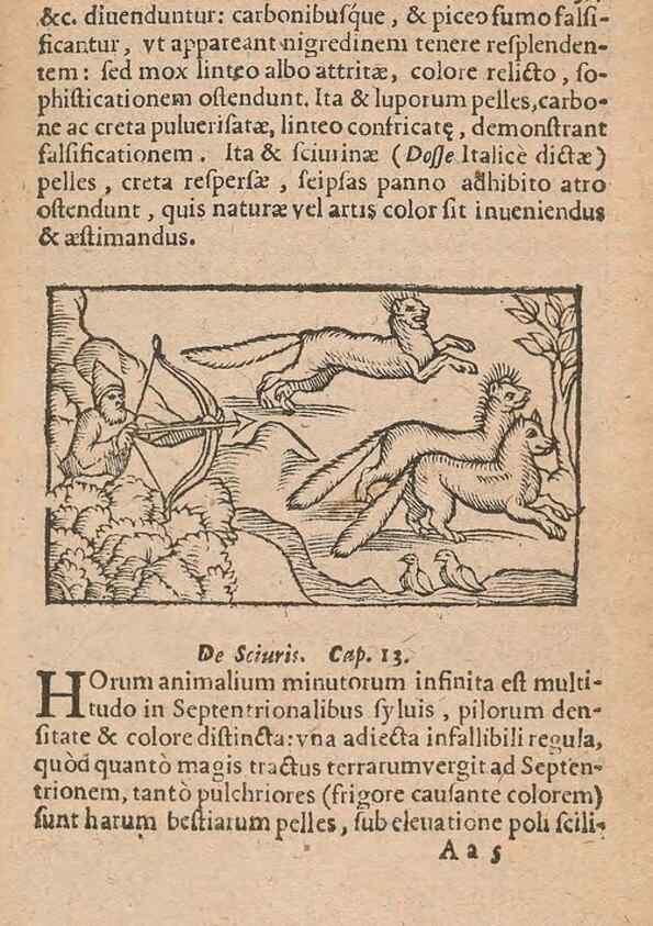 Reproducción/Reproduction 15450185010: Historiae de gentibus septentrionalibus /. Antverpiae :Apud Ioannem Bellerum,[ca. 1557]