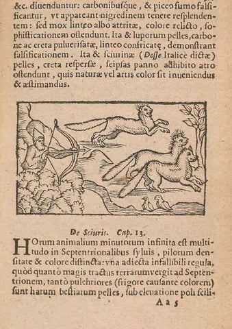 Reproducción/Reproduction 15450185010: Historiae de gentibus septentrionalibus /. Antverpiae :Apud Ioannem Bellerum,[ca. 1557]