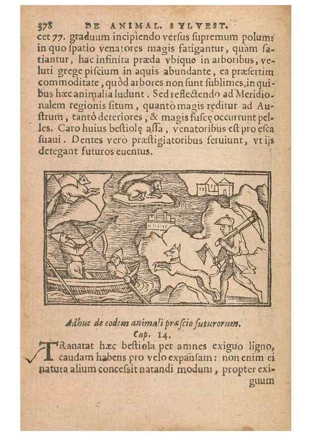Reproducción/Reproduction 15015598833: Historiae de gentibus septentrionalibus /. Antverpiae :Apud Ioannem Bellerum,[ca. 1557]