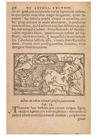 Reproducción/Reproduction 15015598833: Historiae de gentibus septentrionalibus /. Antverpiae :Apud Ioannem Bellerum,[ca. 1557]