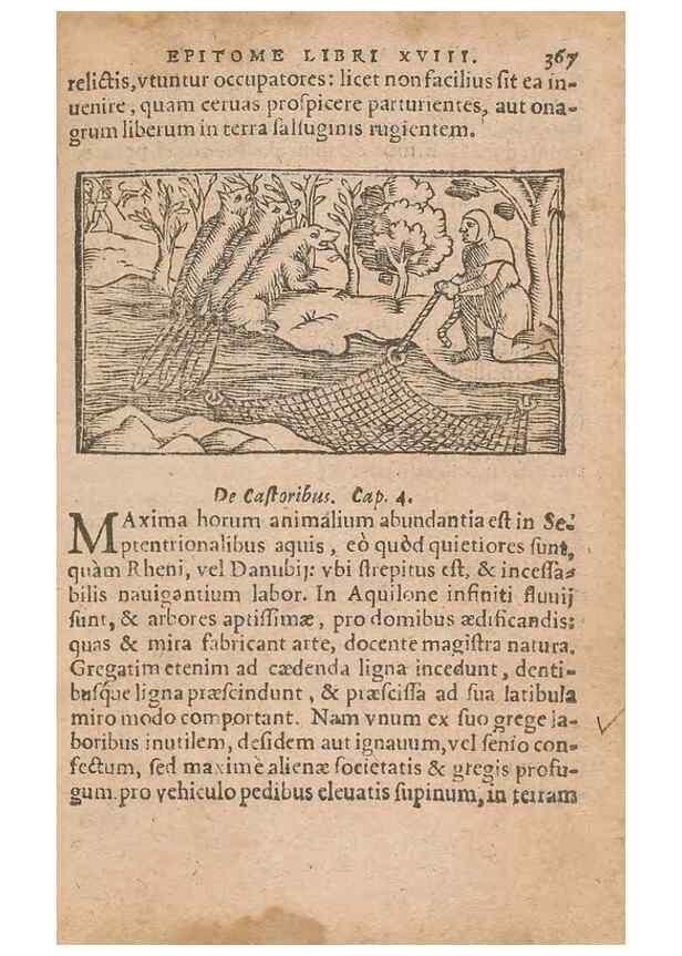 Reproducción/Reproduction 15636558202: Historiae de gentibus septentrionalibus /. Antverpiae :Apud Ioannem Bellerum,[ca. 1557]