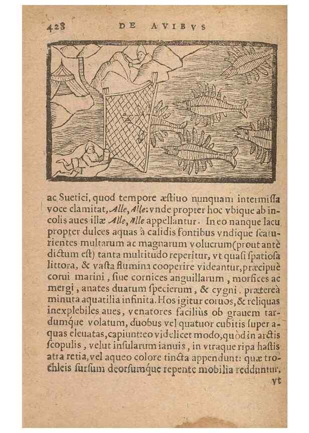 Reproducción/Reproduction 15633209961: Historiae de gentibus septentrionalibus /. Antverpiae :Apud Ioannem Bellerum,[ca. 1557]