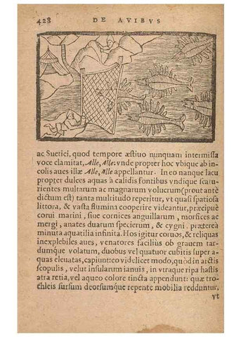 Reproducción/Reproduction 15633209961: Historiae de gentibus septentrionalibus /. Antverpiae :Apud Ioannem Bellerum,[ca. 1557]