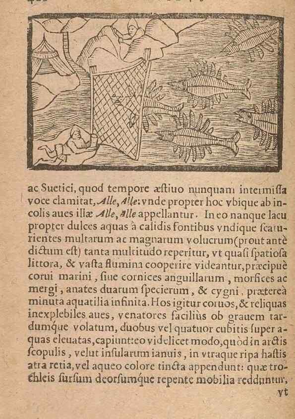 Reproducción/Reproduction 15633209961: Historiae de gentibus septentrionalibus /. Antverpiae :Apud Ioannem Bellerum,[ca. 1557]