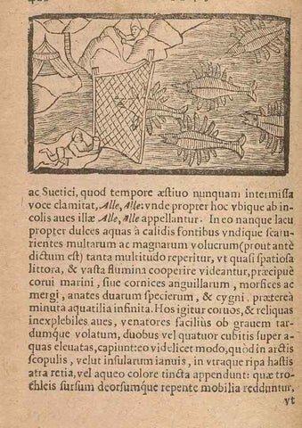 Reproducción/Reproduction 15633209961: Historiae de gentibus septentrionalibus /. Antverpiae :Apud Ioannem Bellerum,[ca. 1557]