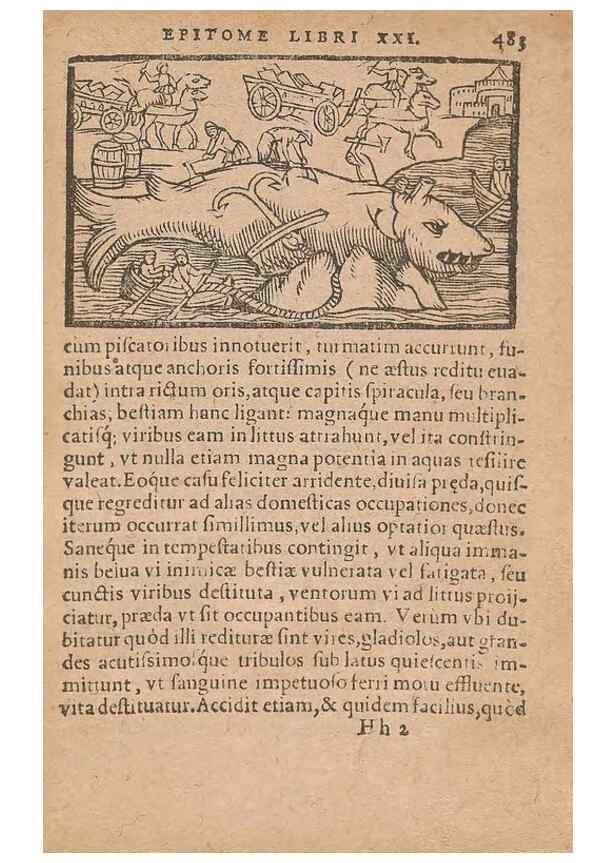 Reproducción/Reproduction 15015846263: Historiae de gentibus septentrionalibus /. Antverpiae :Apud Ioannem Bellerum,[ca. 1557]