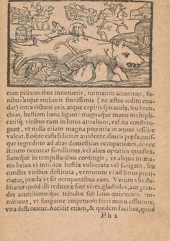 Reproducción/Reproduction 15015846263: Historiae de gentibus septentrionalibus /. Antverpiae :Apud Ioannem Bellerum,[ca. 1557]