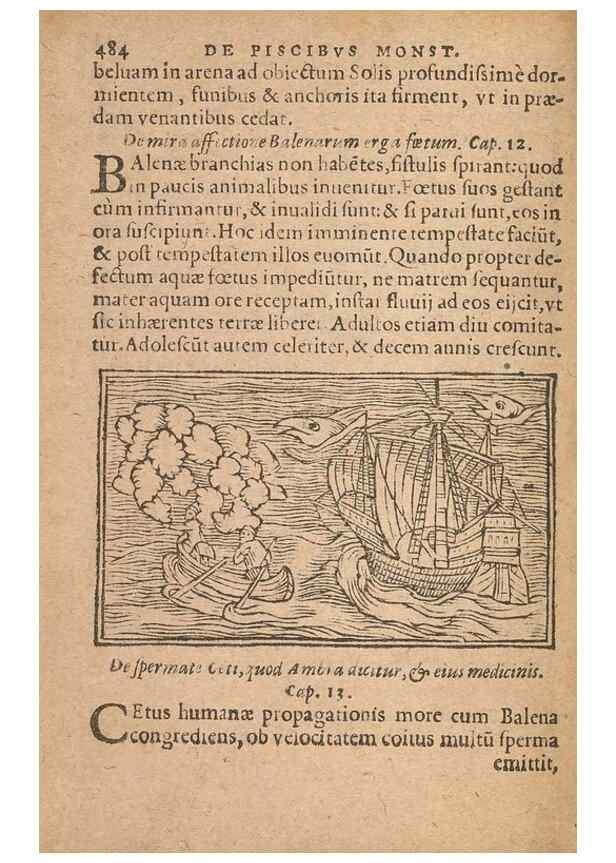Reproducción/Reproduction 15449900048: Historiae de gentibus septentrionalibus /. Antverpiae :Apud Ioannem Bellerum,[ca. 1557]