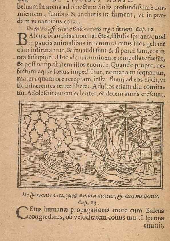 Reproducción/Reproduction 15449900048: Historiae de gentibus septentrionalibus /. Antverpiae :Apud Ioannem Bellerum,[ca. 1557]