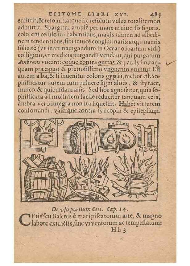 Reproducción/Reproduction 15636869042: Historiae de gentibus septentrionalibus /. Antverpiae :Apud Ioannem Bellerum,[ca. 1557]