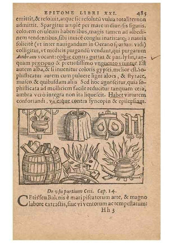 Reproducción/Reproduction 15636869042: Historiae de gentibus septentrionalibus /. Antverpiae :Apud Ioannem Bellerum,[ca. 1557]