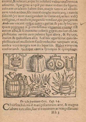 Reproducción/Reproduction 15636869042: Historiae de gentibus septentrionalibus /. Antverpiae :Apud Ioannem Bellerum,[ca. 1557]