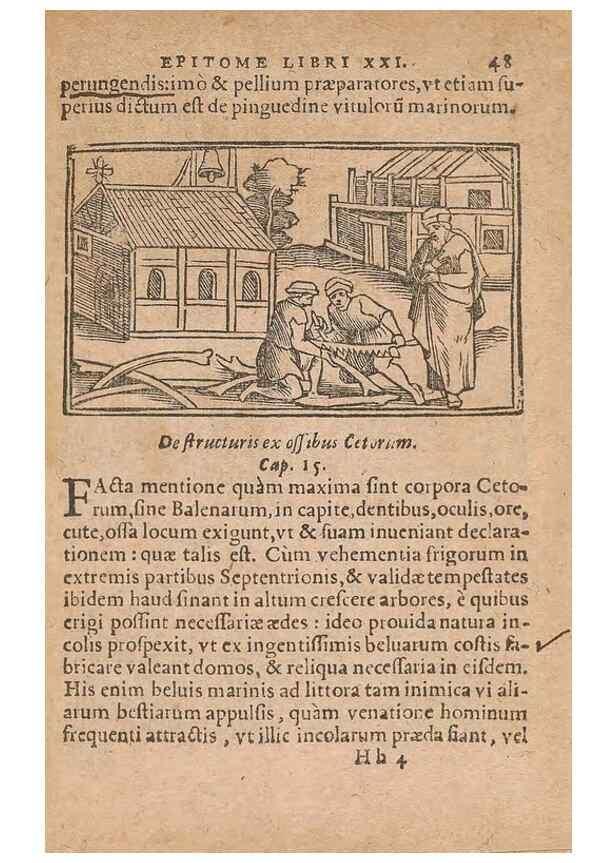Reproducción/Reproduction 15015280714: Historiae de gentibus septentrionalibus /. Antverpiae :Apud Ioannem Bellerum,[ca. 1557]