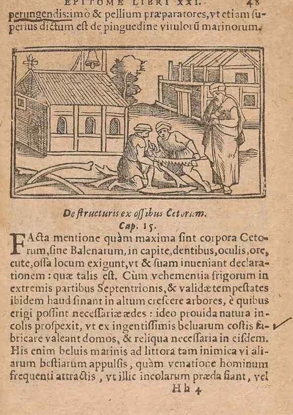 Reproducción/Reproduction 15015280714: Historiae de gentibus septentrionalibus /. Antverpiae :Apud Ioannem Bellerum,[ca. 1557]