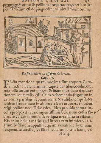Reproducción/Reproduction 15015280714: Historiae de gentibus septentrionalibus /. Antverpiae :Apud Ioannem Bellerum,[ca. 1557]
