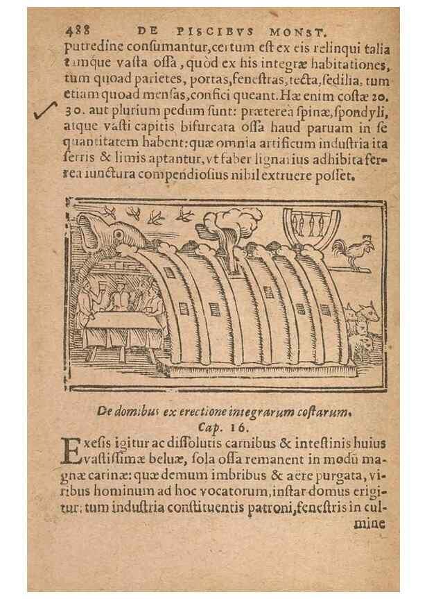 Reproducción/Reproduction 15450451180: Historiae de gentibus septentrionalibus /. Antverpiae :Apud Ioannem Bellerum,[ca. 1557]