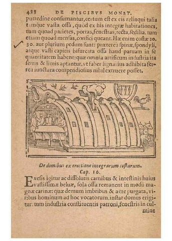 Reproducción/Reproduction 15450451180: Historiae de gentibus septentrionalibus /. Antverpiae :Apud Ioannem Bellerum,[ca. 1557]