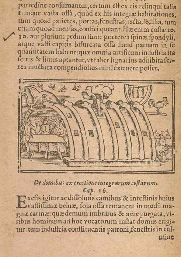 Reproducción/Reproduction 15450451180: Historiae de gentibus septentrionalibus /. Antverpiae :Apud Ioannem Bellerum,[ca. 1557]