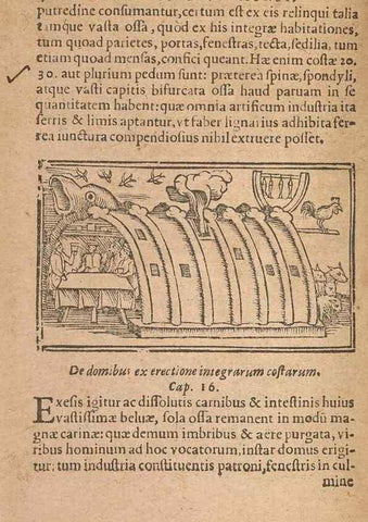 Reproducción/Reproduction 15450451180: Historiae de gentibus septentrionalibus /. Antverpiae :Apud Ioannem Bellerum,[ca. 1557]