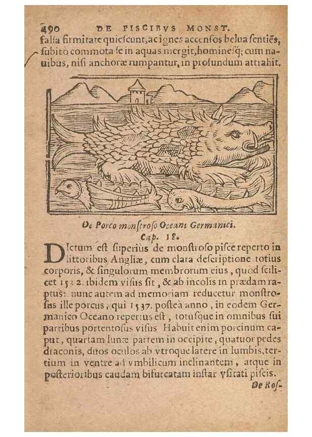 Reproducción/Reproduction 15633381261: Historiae de gentibus septentrionalibus /. Antverpiae :Apud Ioannem Bellerum,[ca. 1557]
