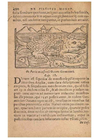 Reproducción/Reproduction 15633381261: Historiae de gentibus septentrionalibus /. Antverpiae :Apud Ioannem Bellerum,[ca. 1557]