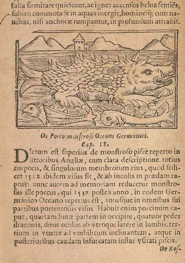 Reproducción/Reproduction 15633381261: Historiae de gentibus septentrionalibus /. Antverpiae :Apud Ioannem Bellerum,[ca. 1557]