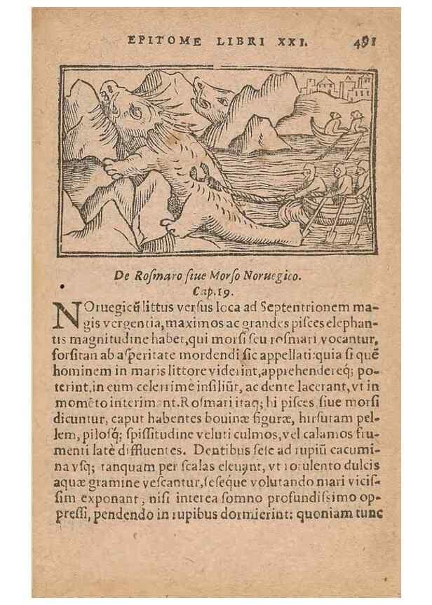 Reproducción/Reproduction 15449412389: Historiae de gentibus septentrionalibus /. Antverpiae :Apud Ioannem Bellerum,[ca. 1557]