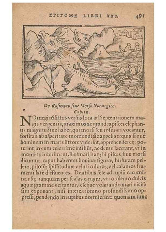 Reproducción/Reproduction 15449412389: Historiae de gentibus septentrionalibus /. Antverpiae :Apud Ioannem Bellerum,[ca. 1557]